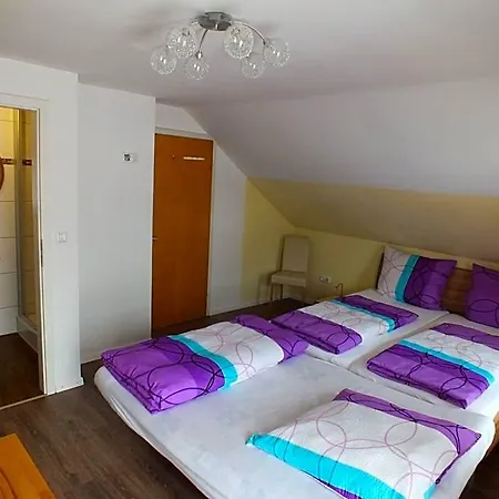 Dreimaederlhaus Hostel